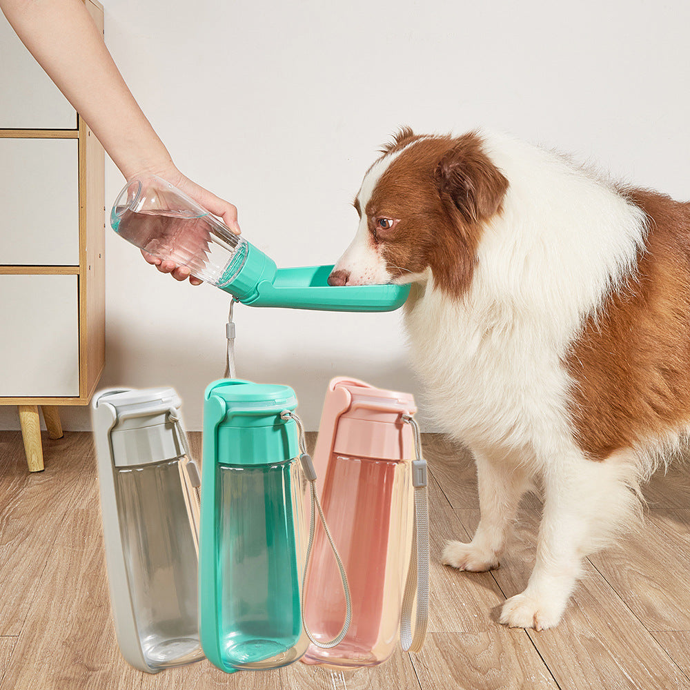 PawFlow Bottle – Portable Dog Hydration System